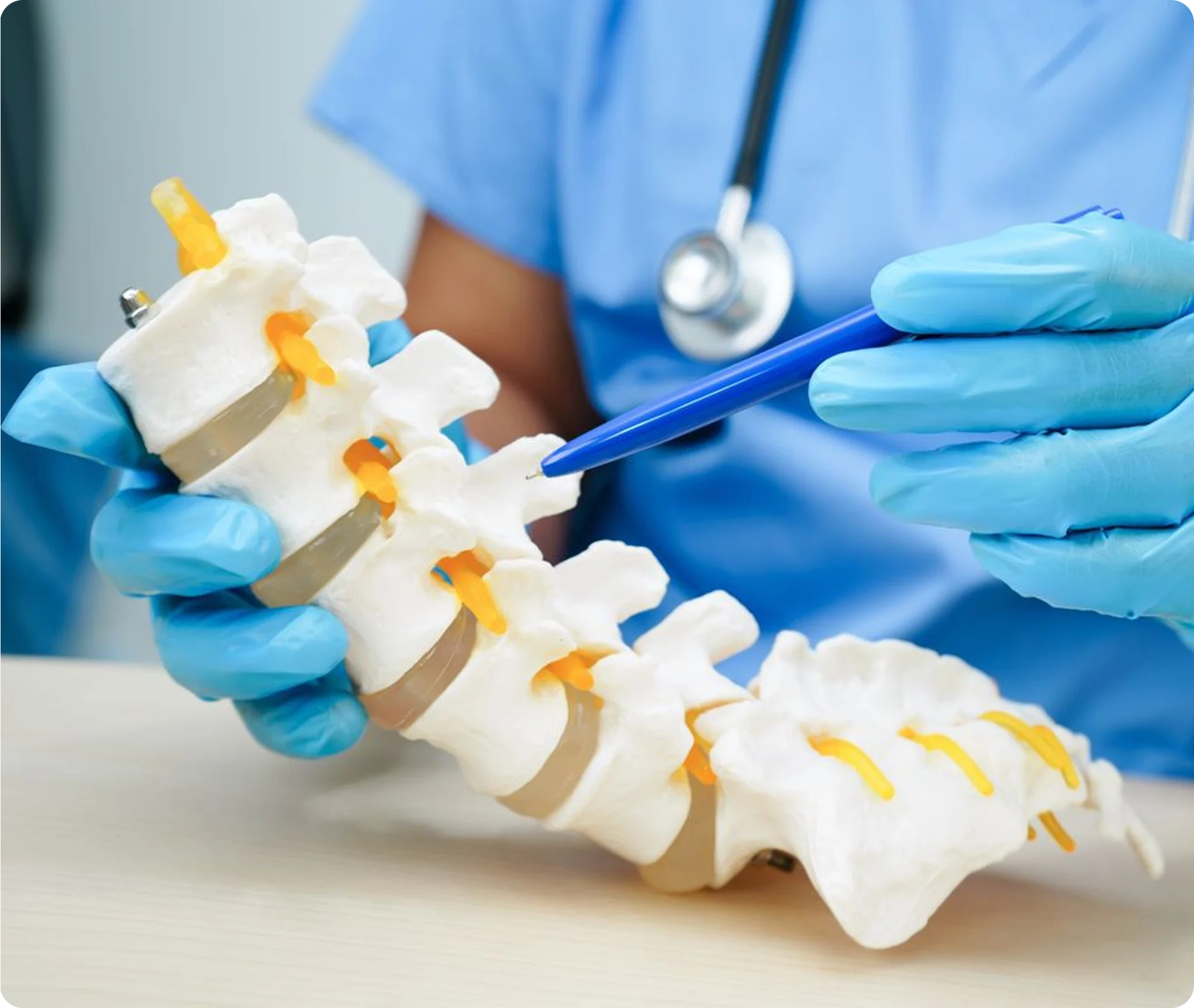 Dr. Ivan explaining spinal anatomy during consultation