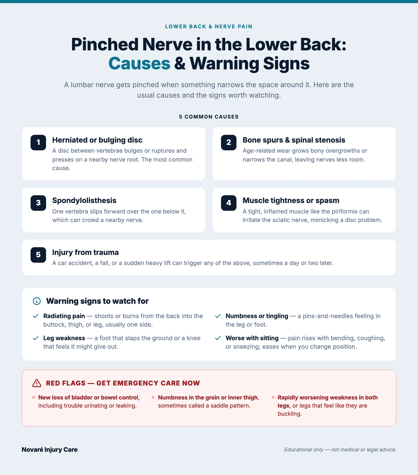 Infographic titled Pinched Nerve in the Lower Back Warning Signs, contrasting normal back pain with radiating nerve symptoms and red-flag emergency signs, in teal and navy